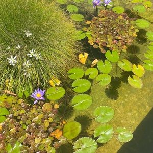 Meet your Posher, Ida